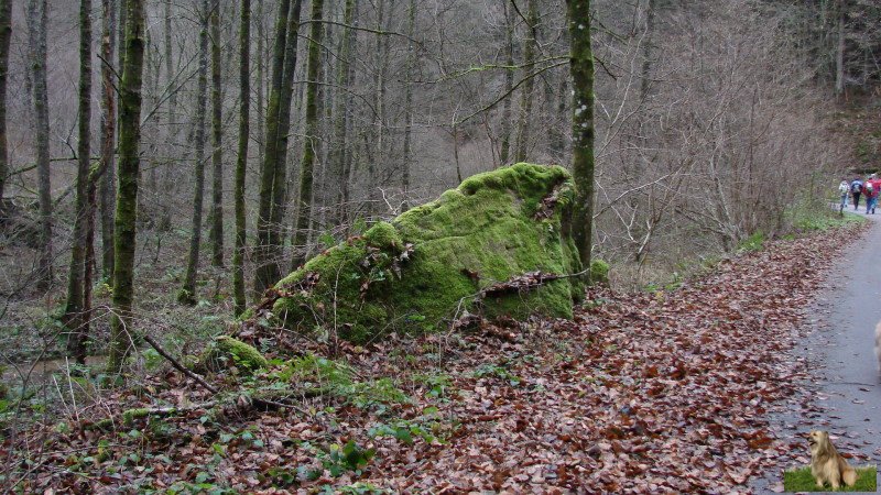 Ritterstein Nr. 039-4 Kunzelmannsgut.JPG - Ritterstein Nr.39 Kunzelmannsgut
